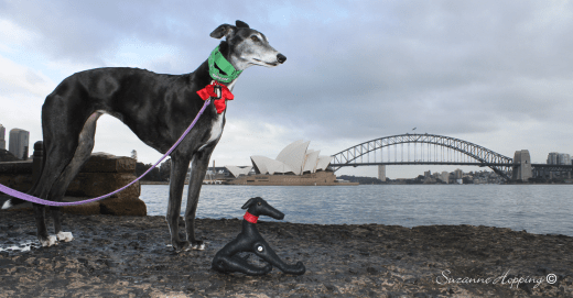 Alice and her alter-ego Mini-me on Sydney Harbour