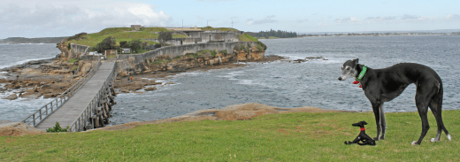 Alice and Mini-me at Bare Island – about 12 kms from home.