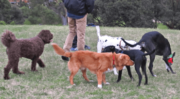 These are some of the members of the Hilltribe with Alice on the right